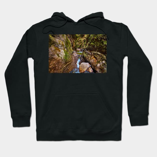 Canyon and river Hoodie by naturalis